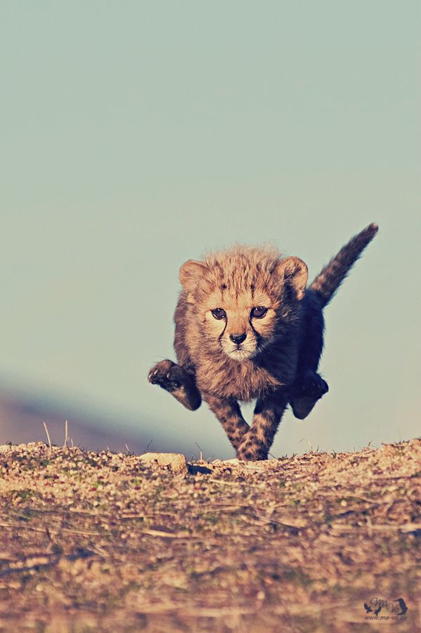 At full speed