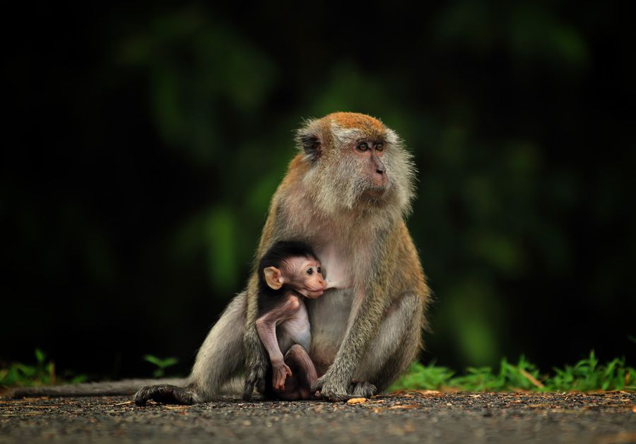 Mother and son