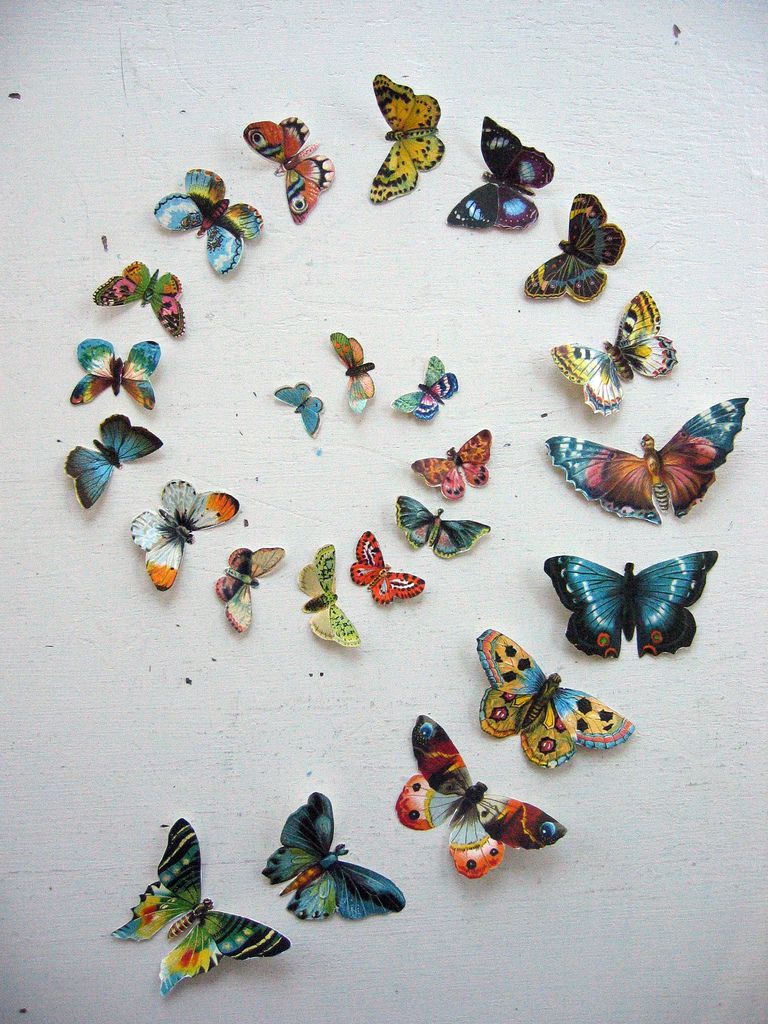 Butterfly swirl