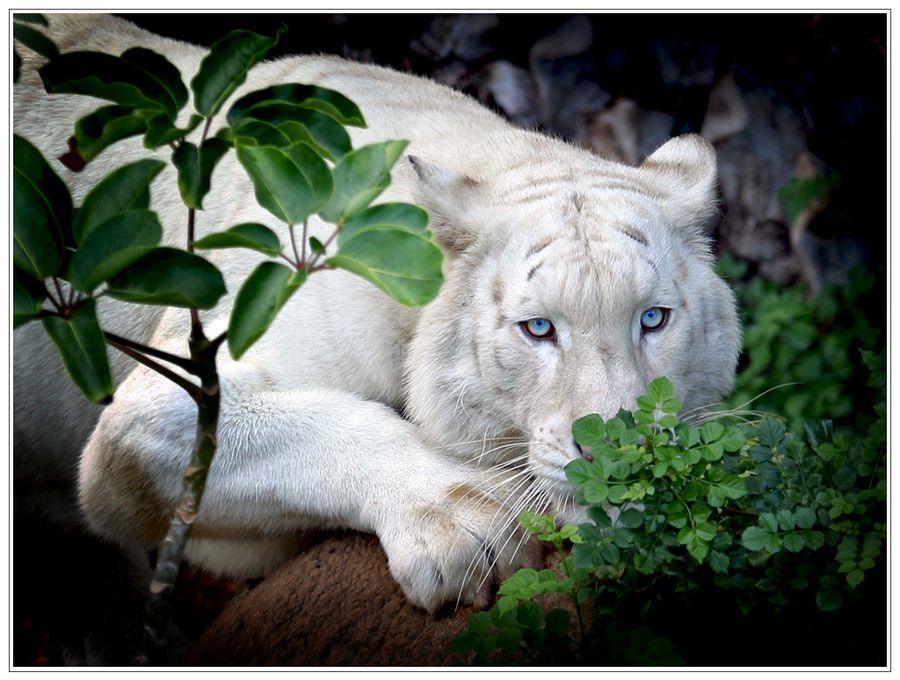 Sneak up