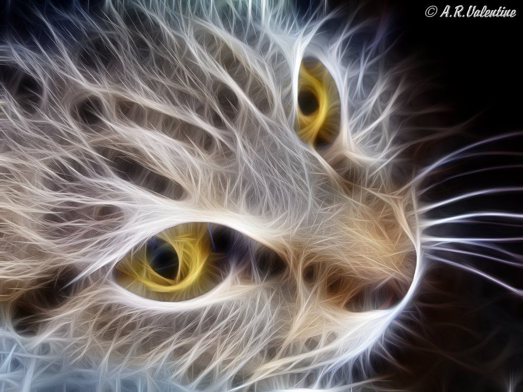 Fractal Cat Face