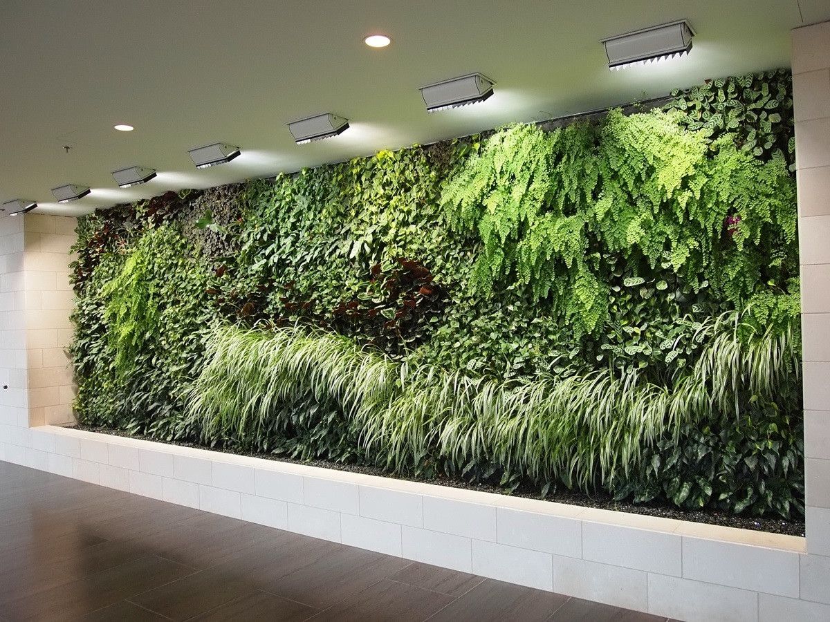 I make living walls