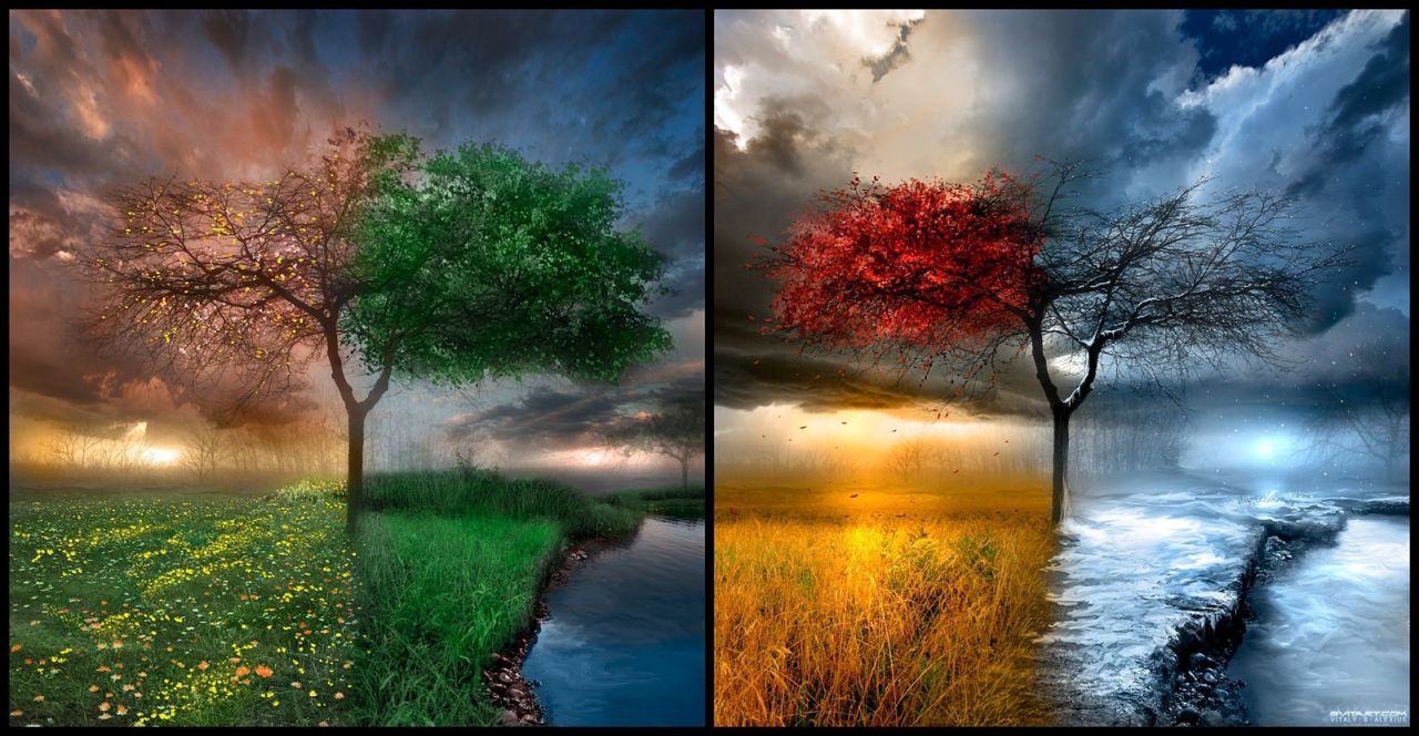 4 seasons