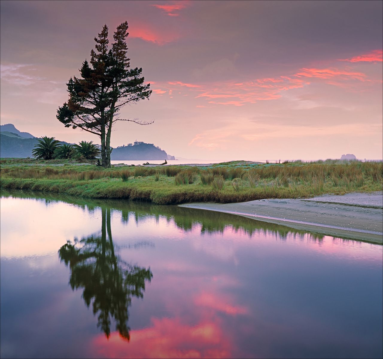 Mercury Bay Sunrise