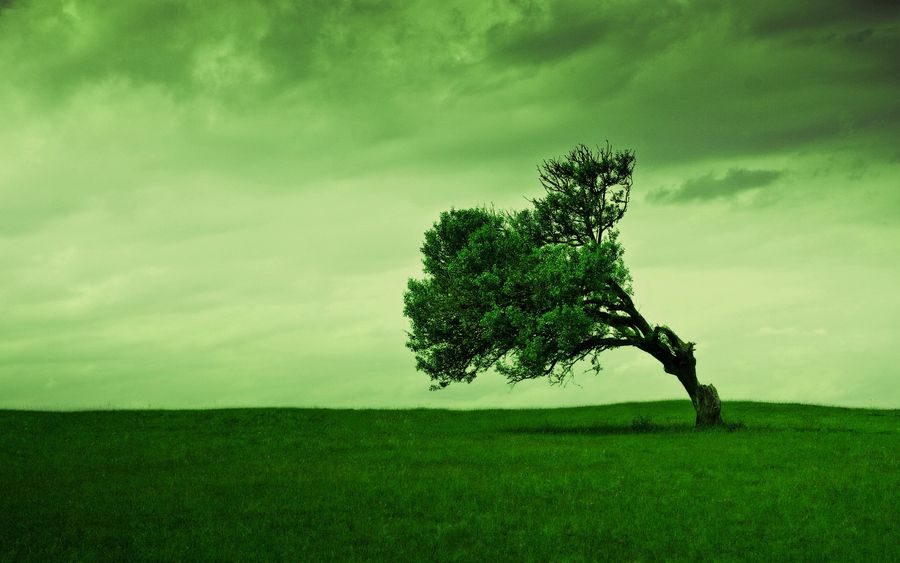 alone