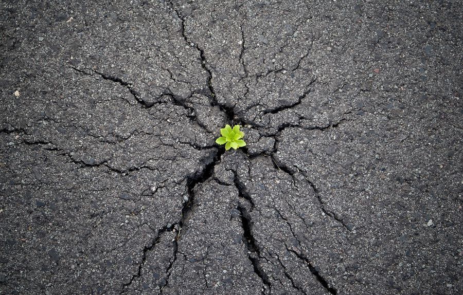 power of nature
