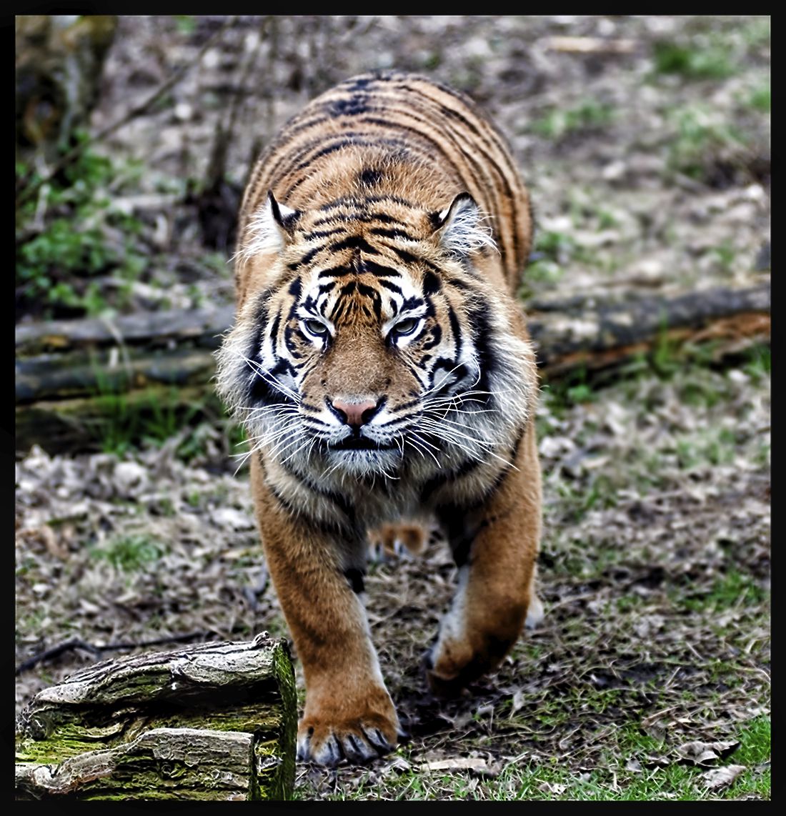 Move .... or else !