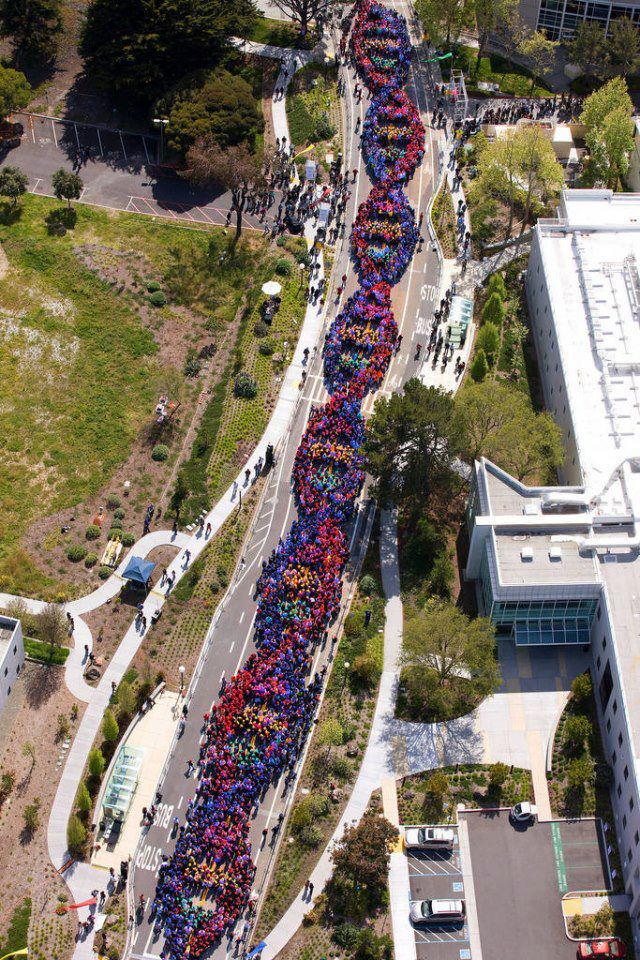60th anniversary of the discovery of DNA