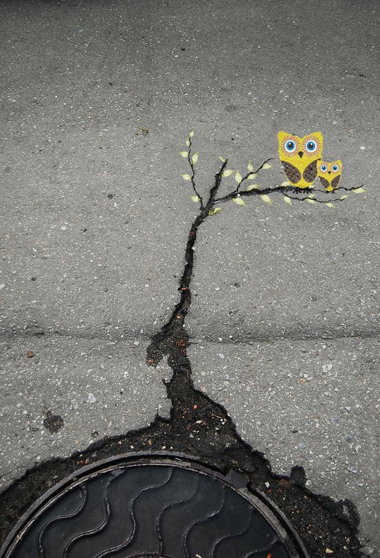 Owls on the road