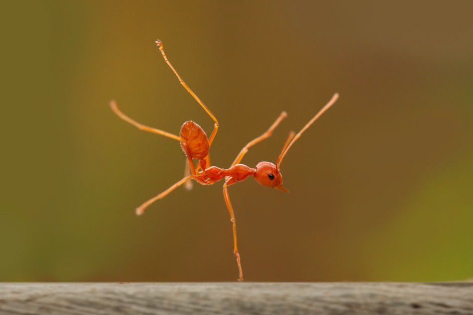 Break Dance