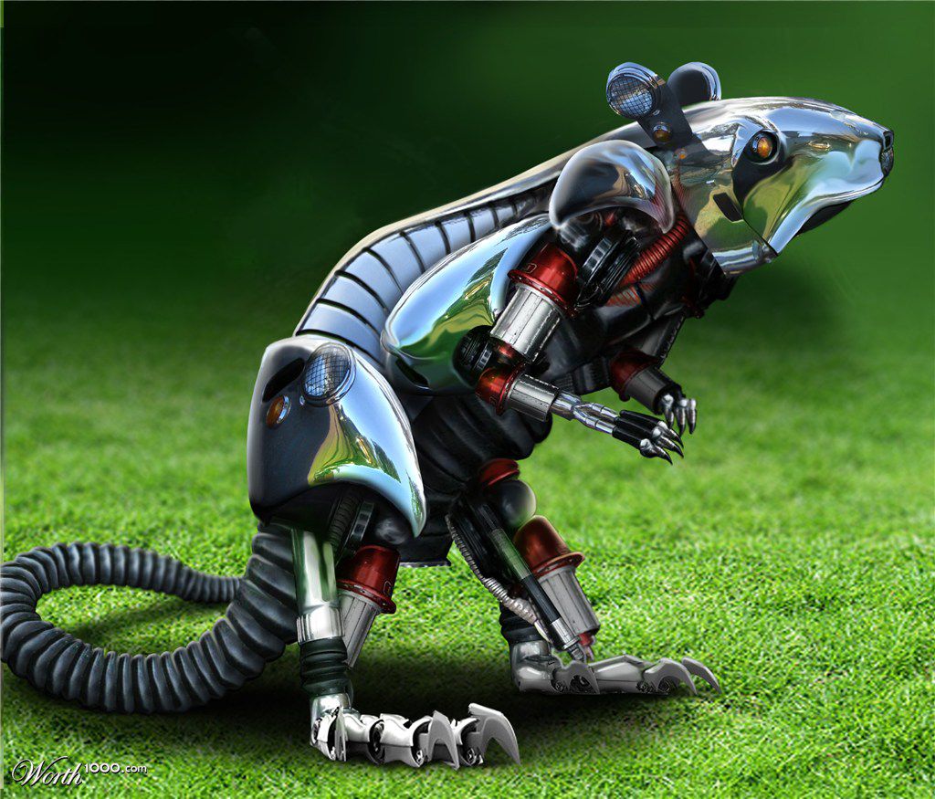 Roboratz