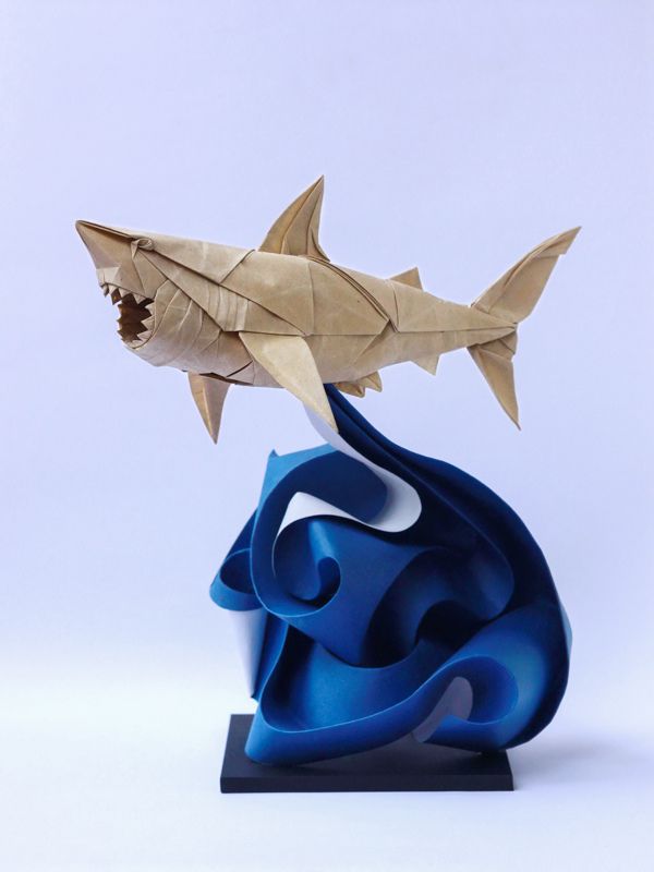Great White Shark