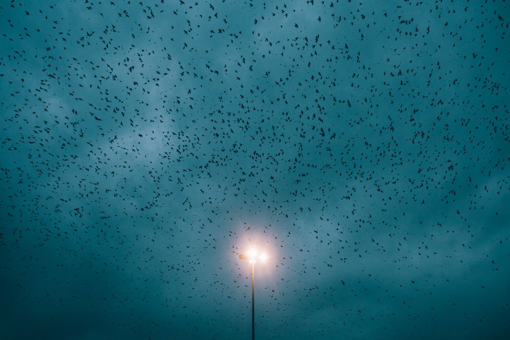 Across the sky