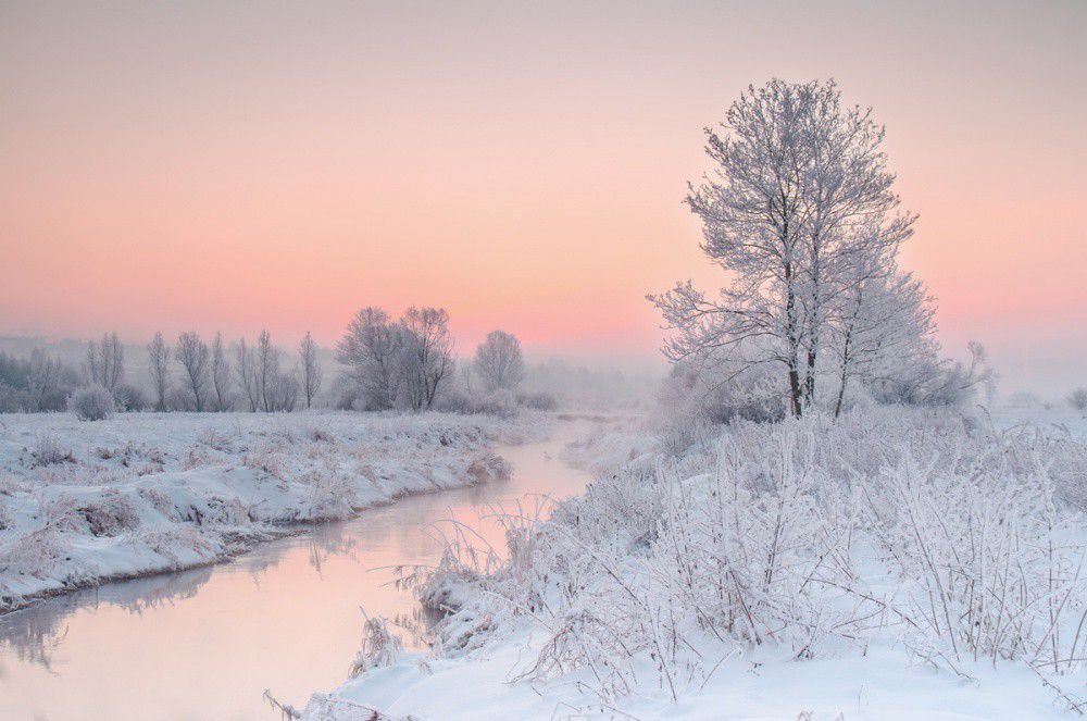 Winter Morning