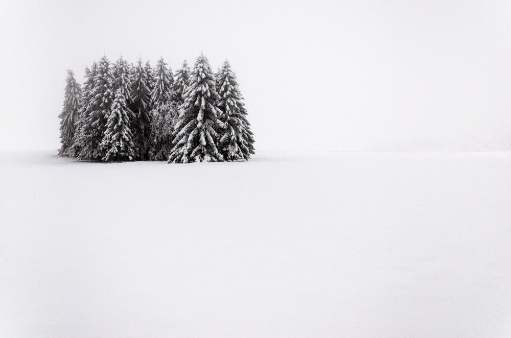 Winter Minimalism