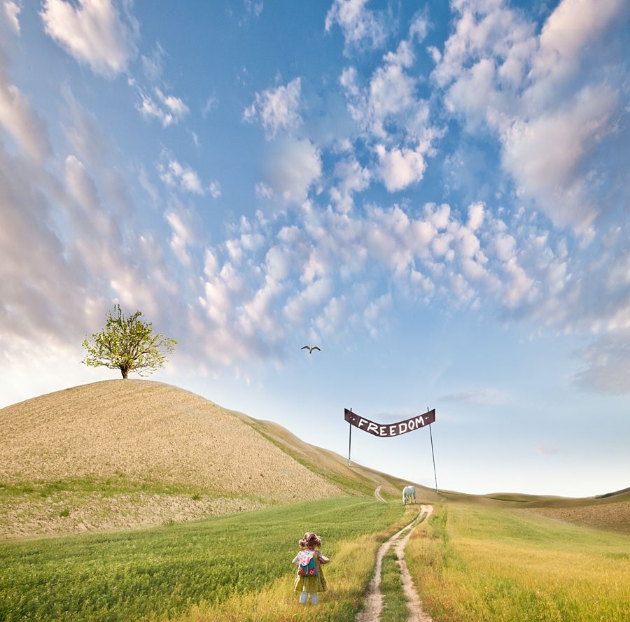 The Way To Freedom