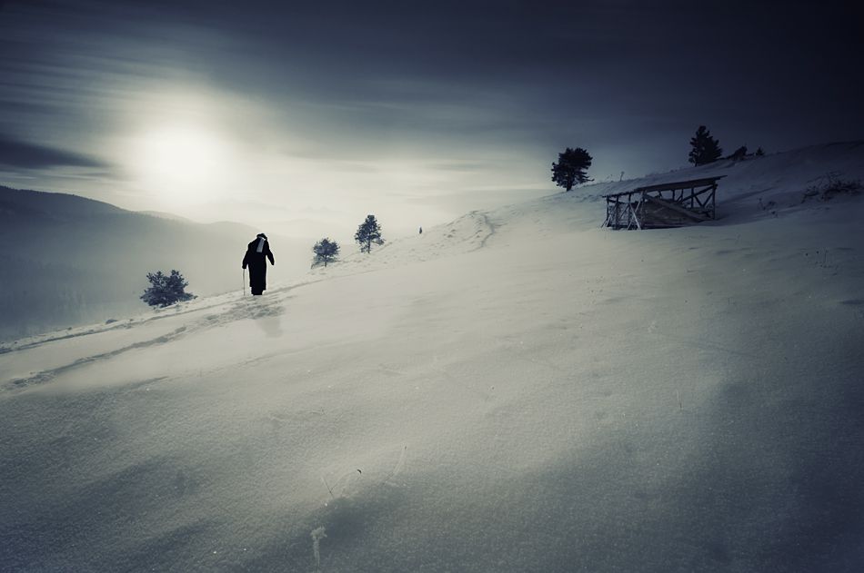 Winter Stories