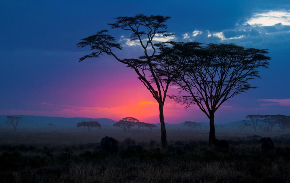 A Sultry Sunset In The Serengeti
