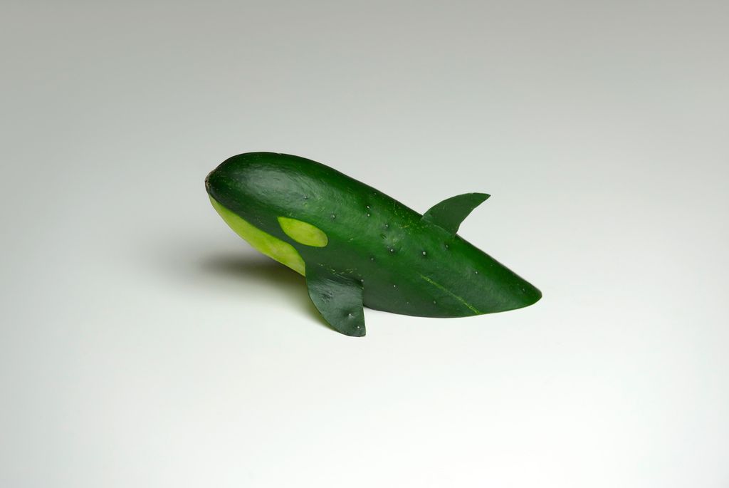 Cucumber Killer Whale
