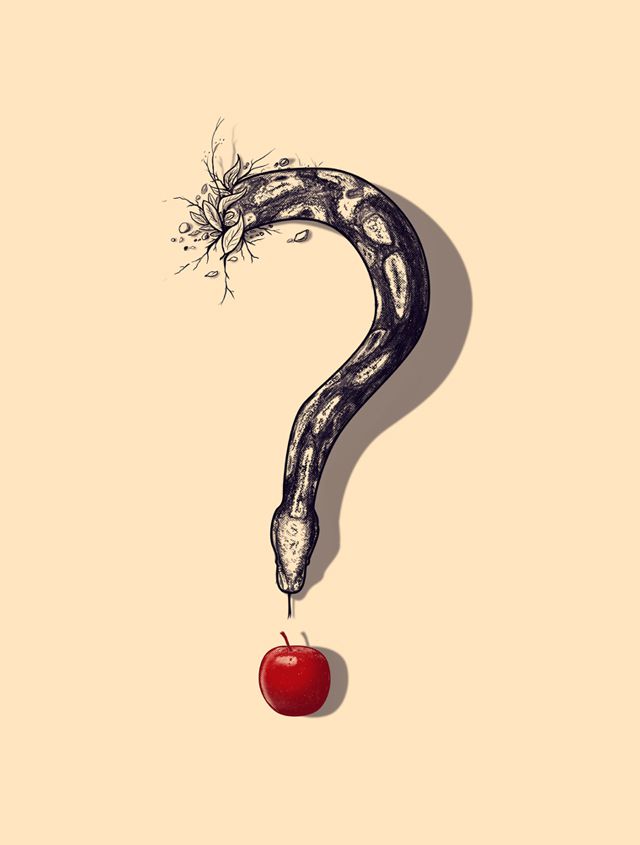 Curious Temptation