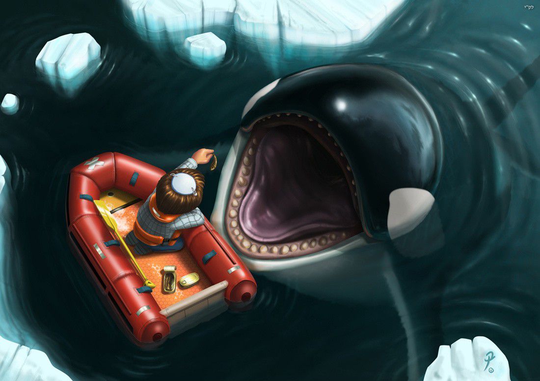 Orca
