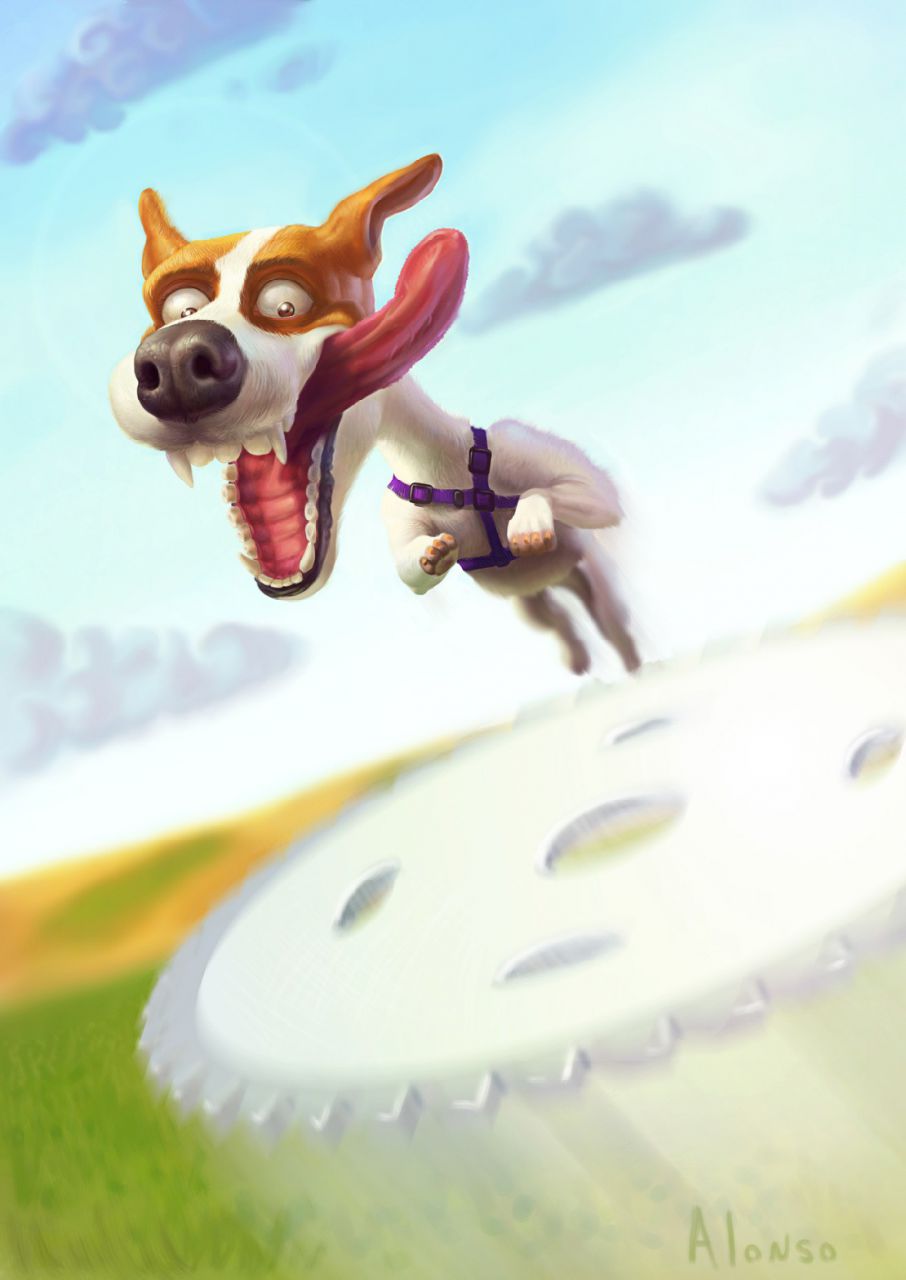 Sports radical frisbee dogs
