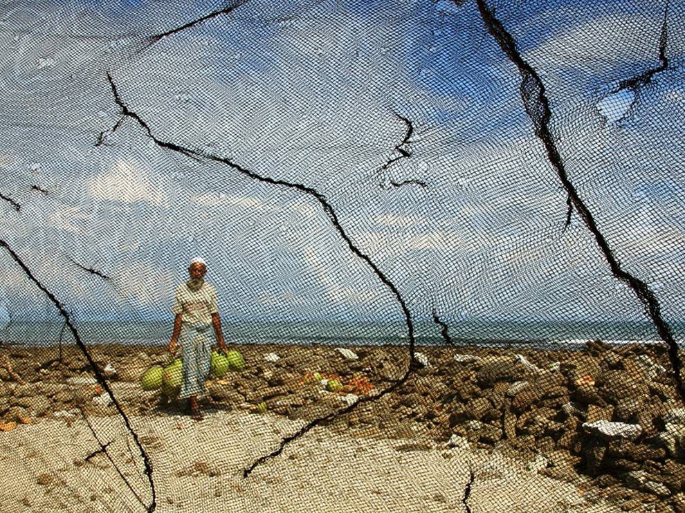 Coconut Vendor, Bangladesh