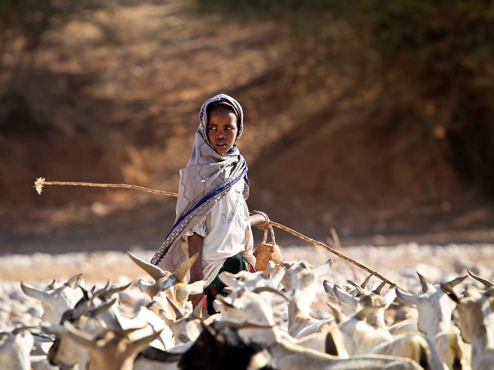 Goatherd, Somalia