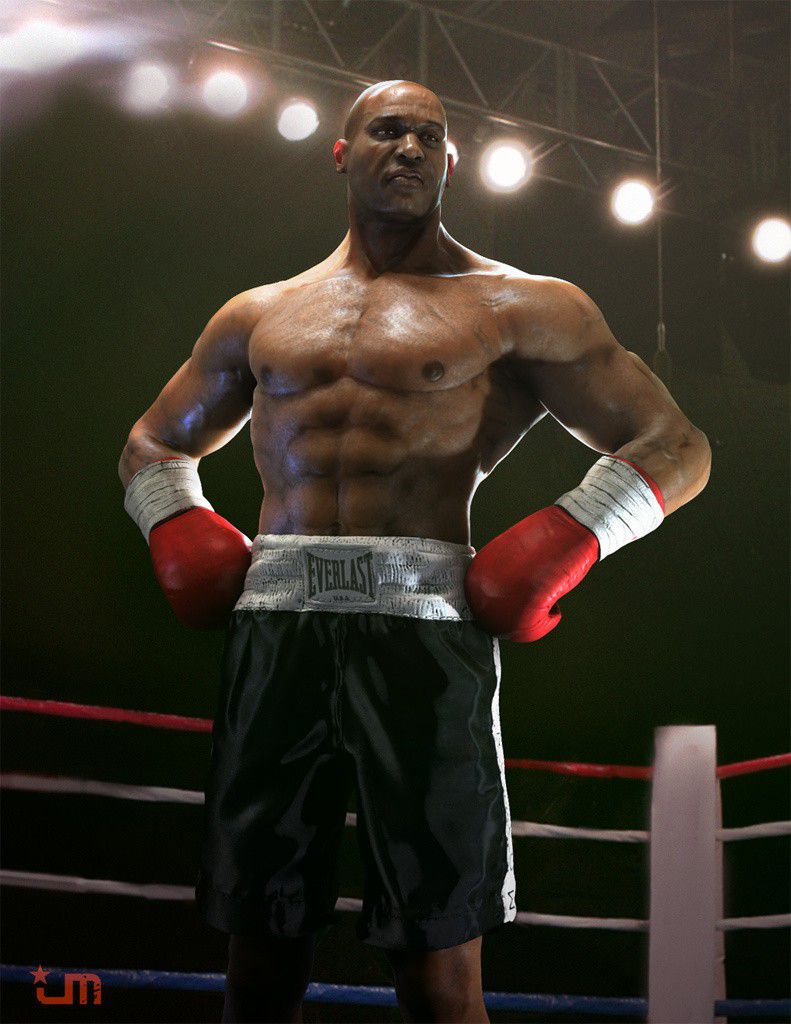 The Boxer