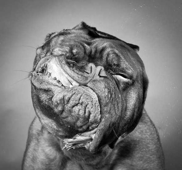 Animal photography by <a href=