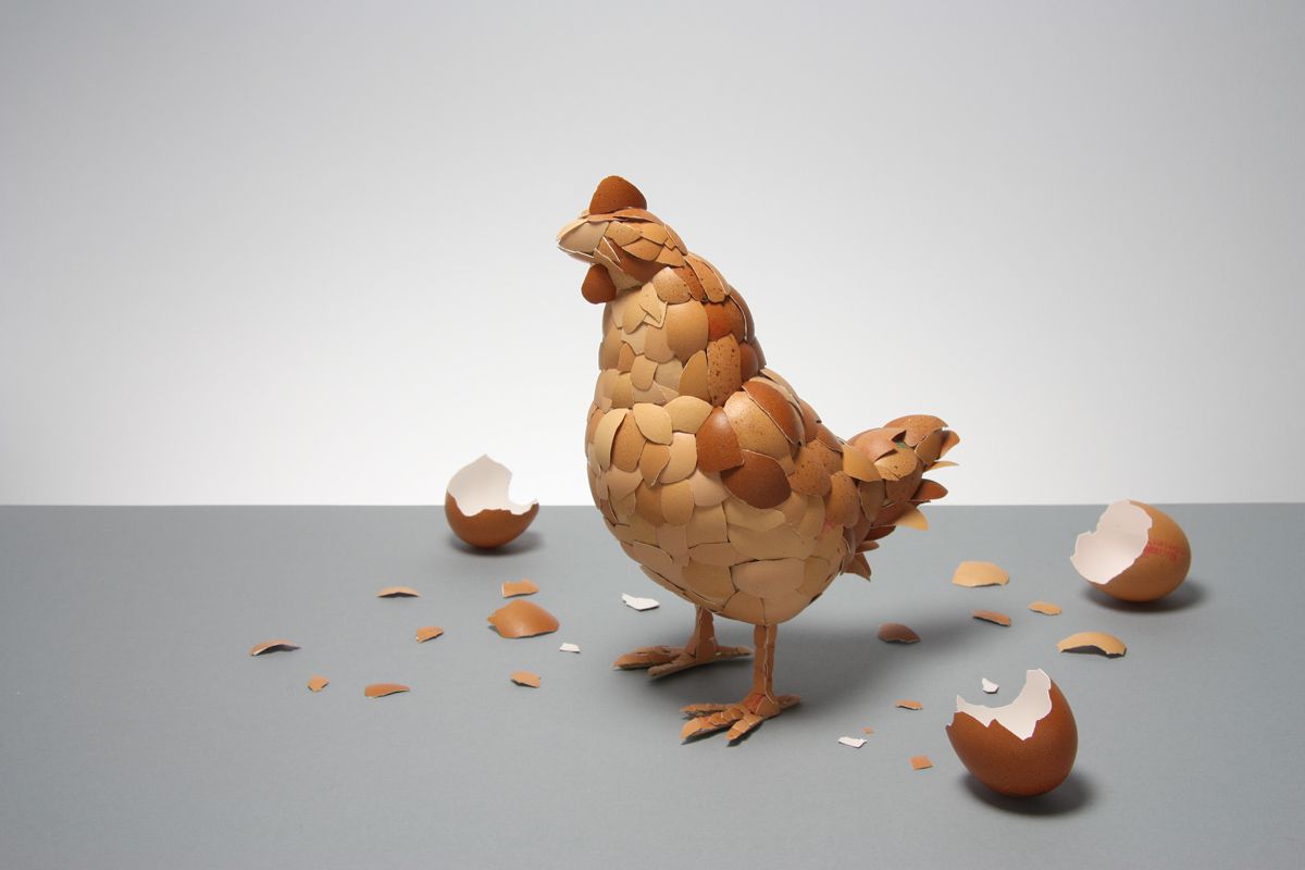 ‘<strong>What Came First?</strong>’ by <a href=