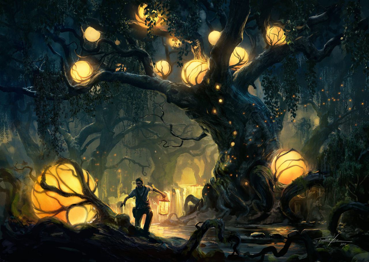 Heart of the Forest