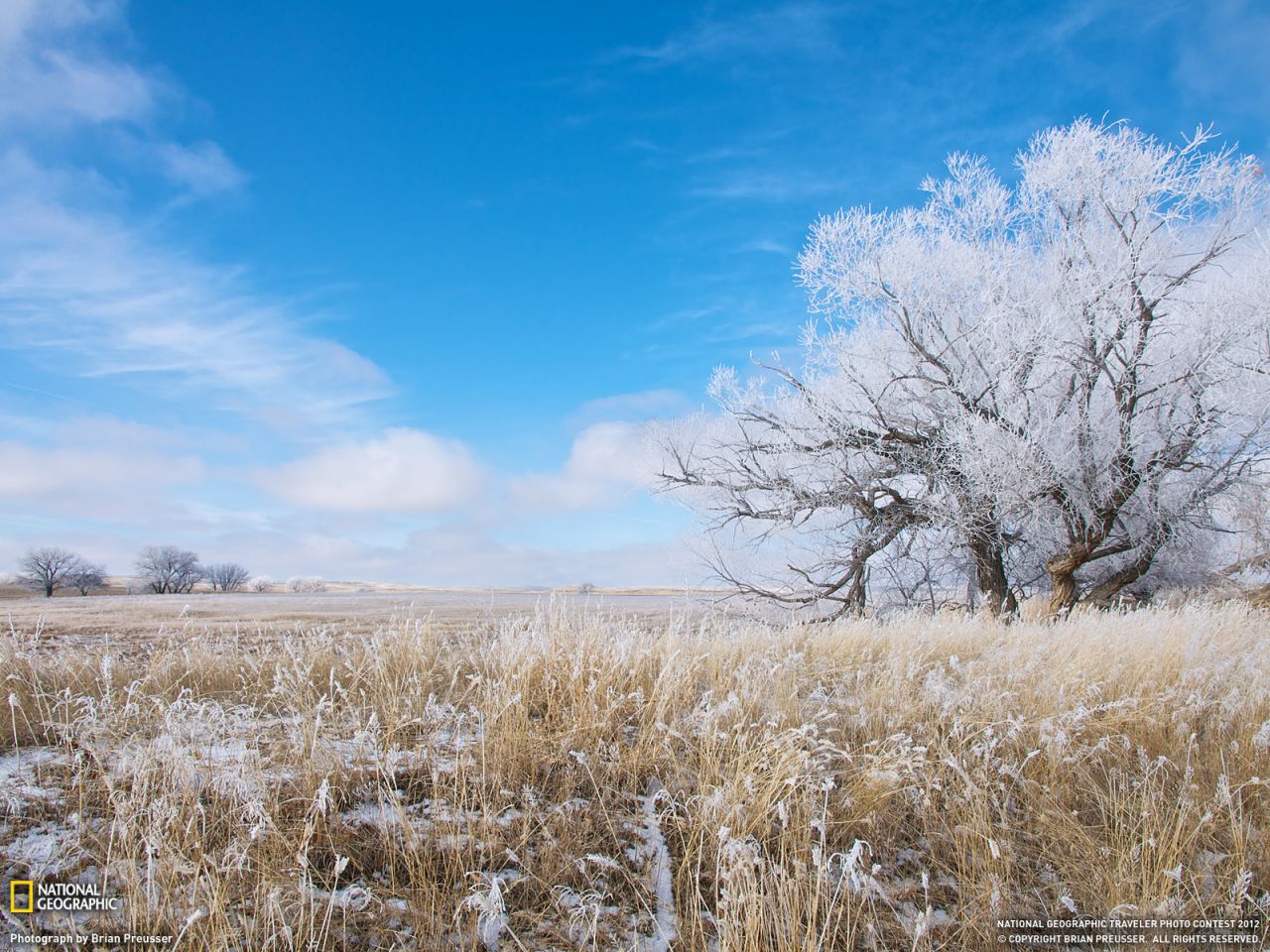 Snowfall, Wyoming