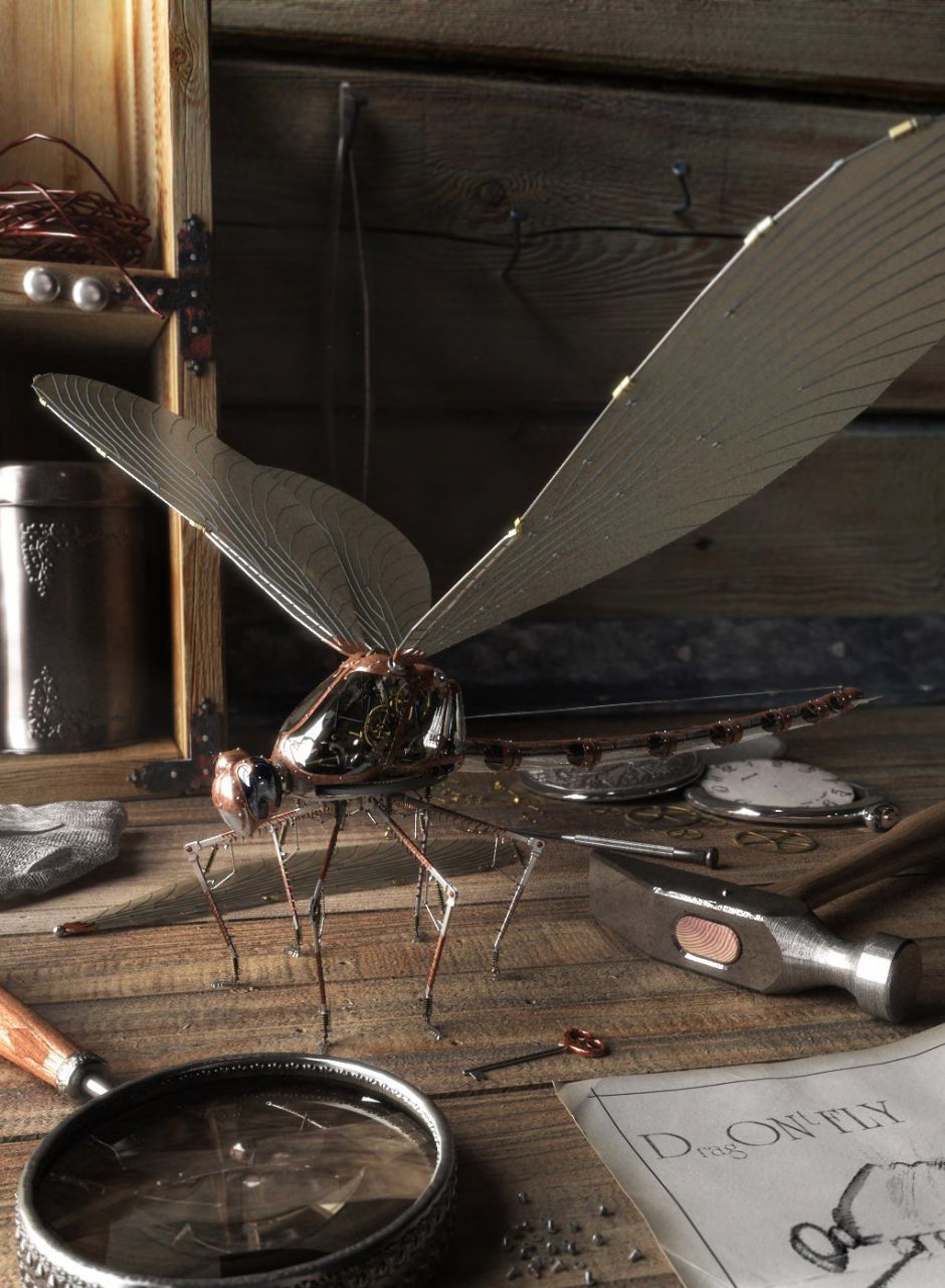 DragONtFLY