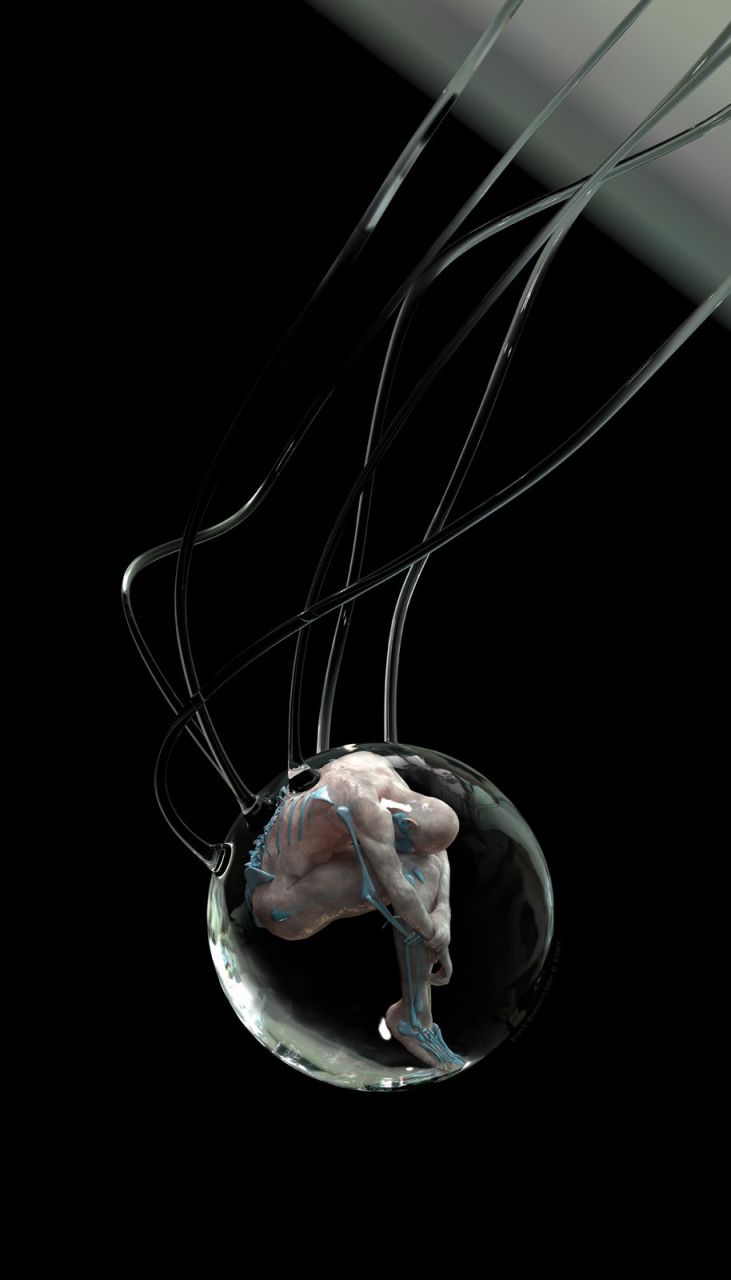 Embryo III