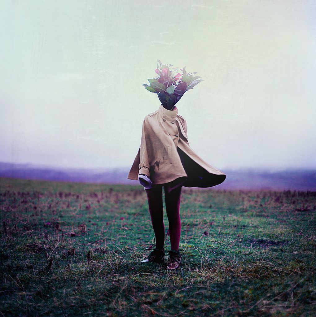 A Bouquet of Imagination