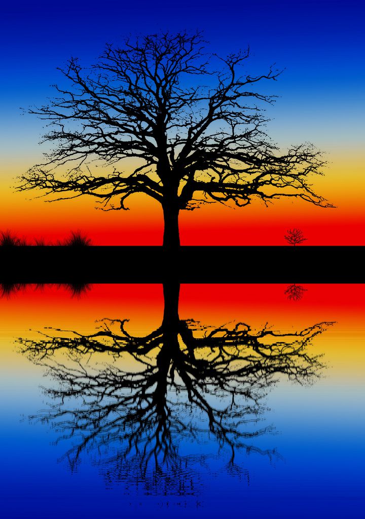 Nature Colors