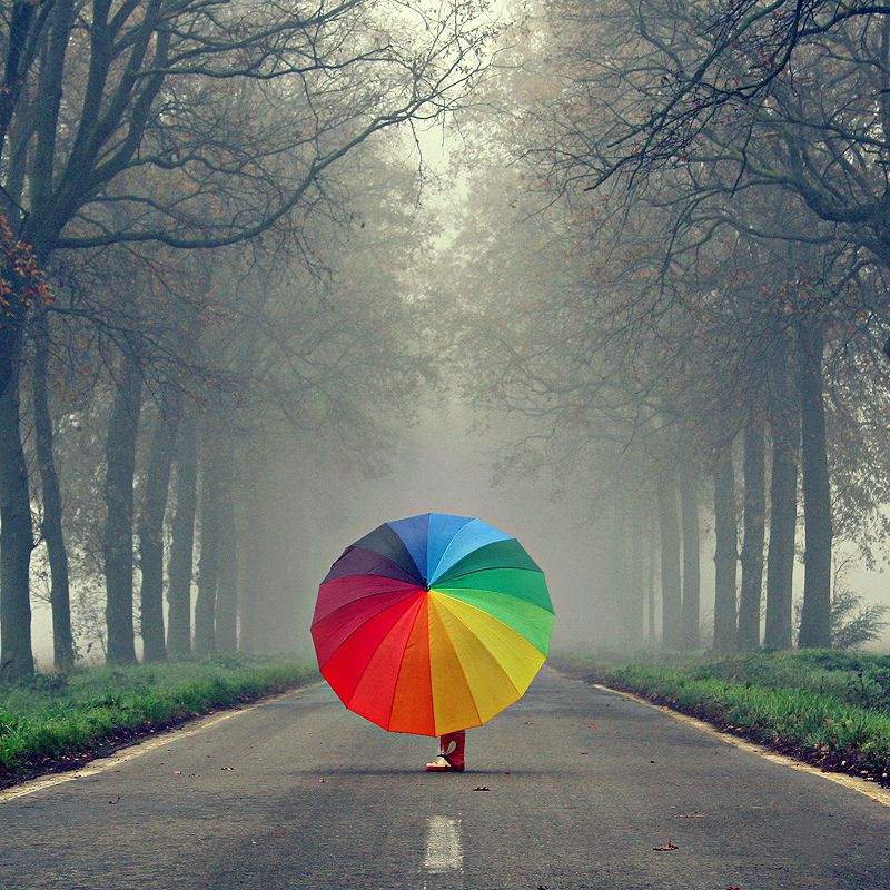‘<strong>somewhere over the rainbow</strong>’ by <a href=
