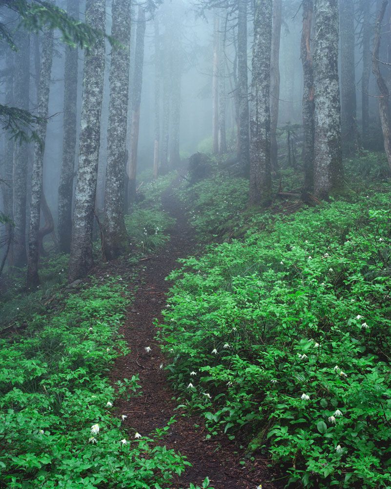 To the mountains