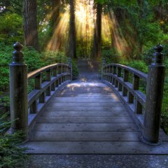 Bridge in the gardens