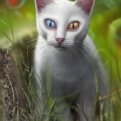 Hypnosis