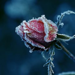 So cold