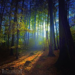 Magic is all around us