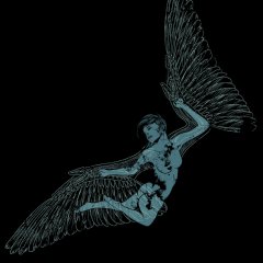 Free Like A Bird