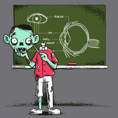 Eye Lesson