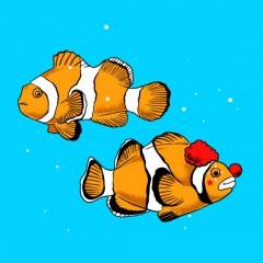 Clown Fish