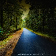 Let's walk together....