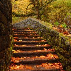 Horsetail stairs Columbia River Gorge Oneonta Oregon