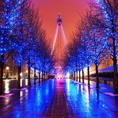 The London Iris