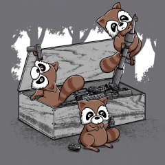 Curiosity Kill